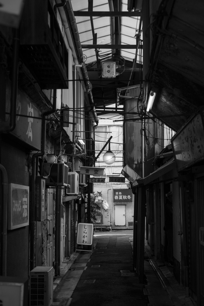めぐる季節の中で･･･