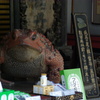 古都へのたび-⑱