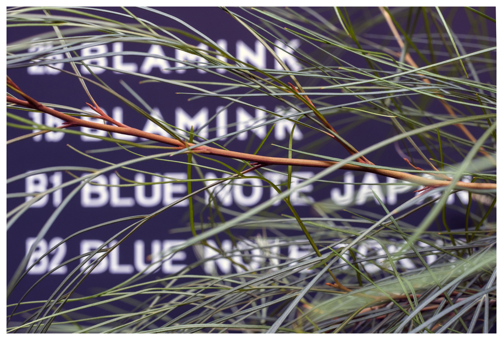 ニューヨークに憧れて･･･