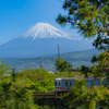 朝の東海道線