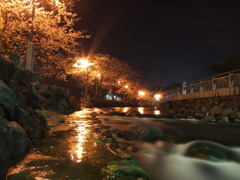 川の流れと桜