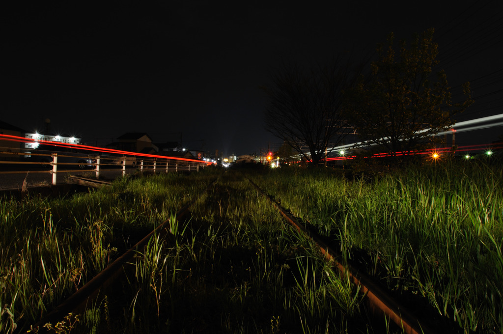 DSC_0563