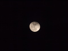 the full moon