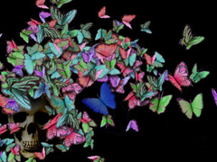 butterfly_with_skull2