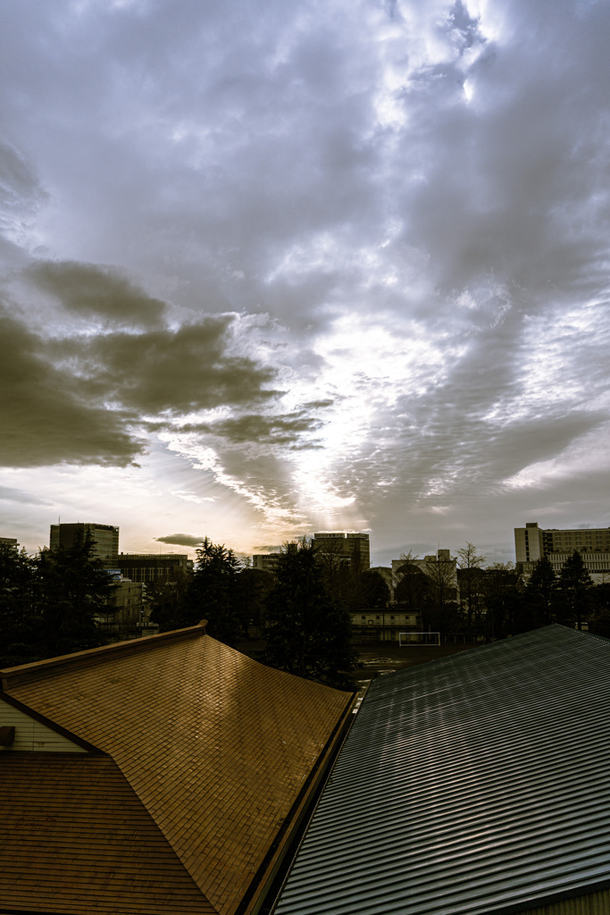 自宅からの風景