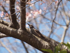 何か食ってる