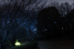 日守山からの夜景5