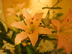 造花