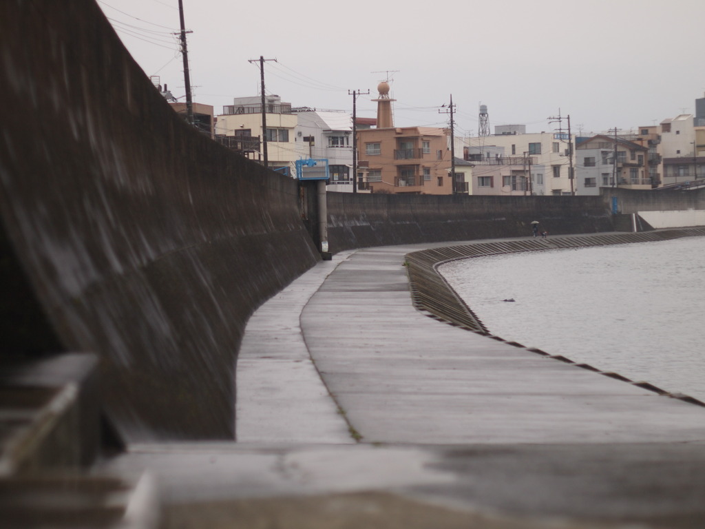 沼津　狩の川　雨