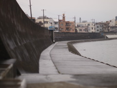 沼津　狩の川　雨