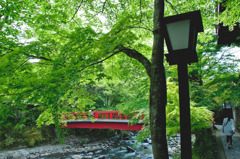 修善寺２