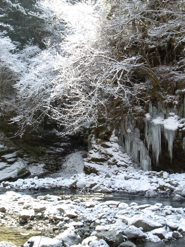 三十槌の氷柱