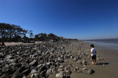 Jekyll Island