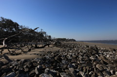 Jekyll Island
