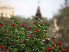 Down Town Savannah　2