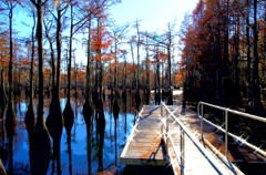George L Smith State Park