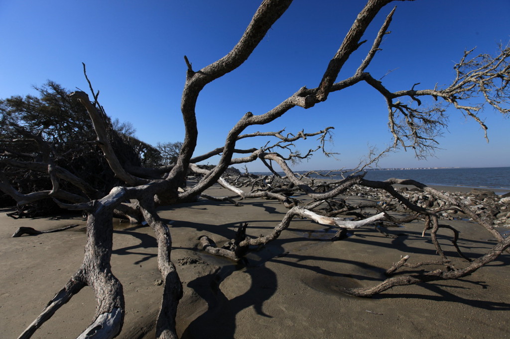 Jekyll Island