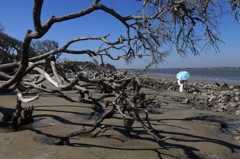 Jekyll Island