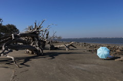 Jekyll Island