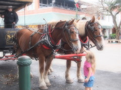 Down Town Savannah 2