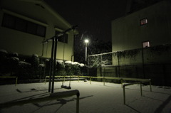 IMG_8481