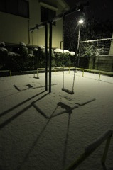 IMG_8484