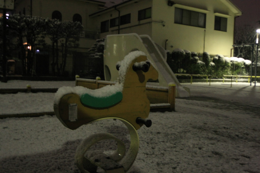 IMG_8490