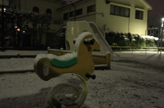 IMG_8490
