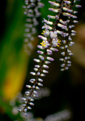 DSC_00760001