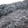 雪景色の裏高尾