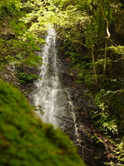 清流のながれ