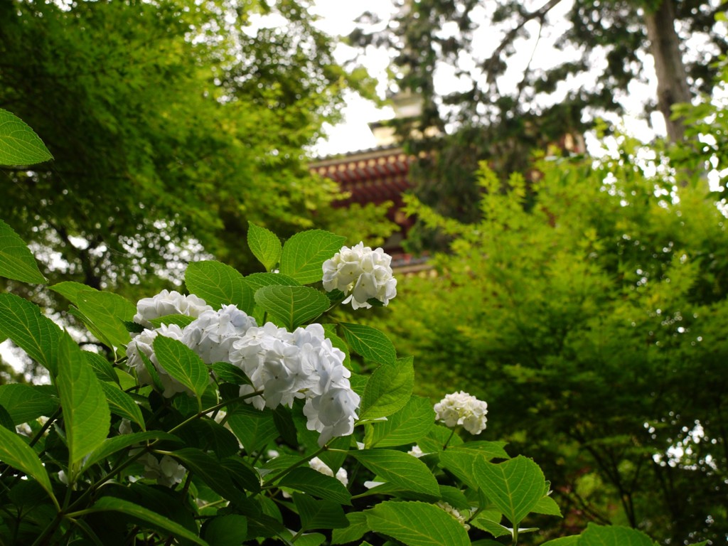 塔のそばで