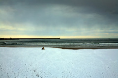 冬の渚