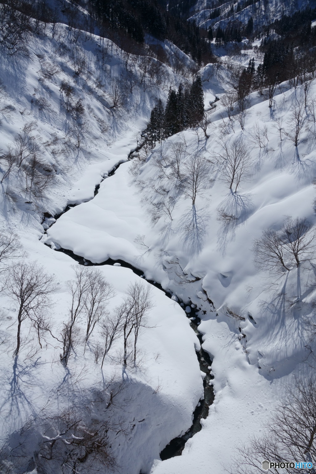 橋の上から