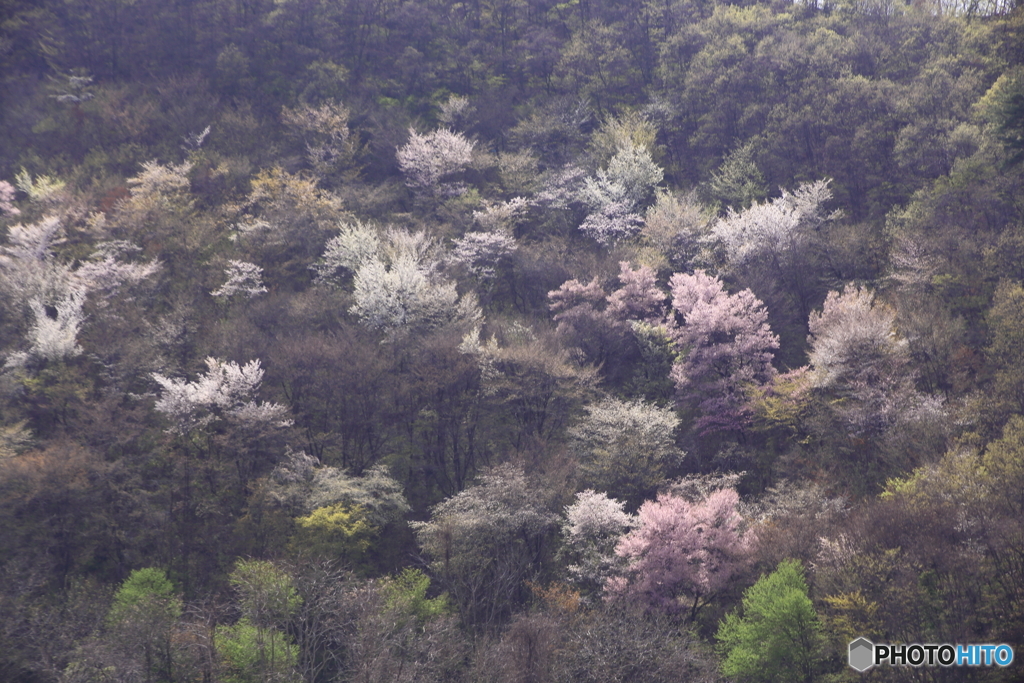 山肌
