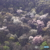 山肌