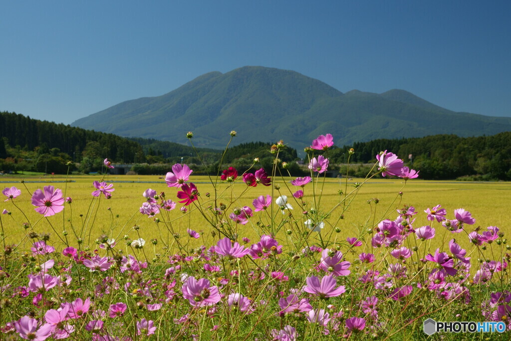 秋景拾遺　１