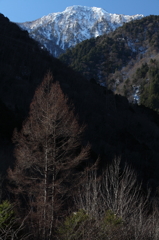 山が白くなって