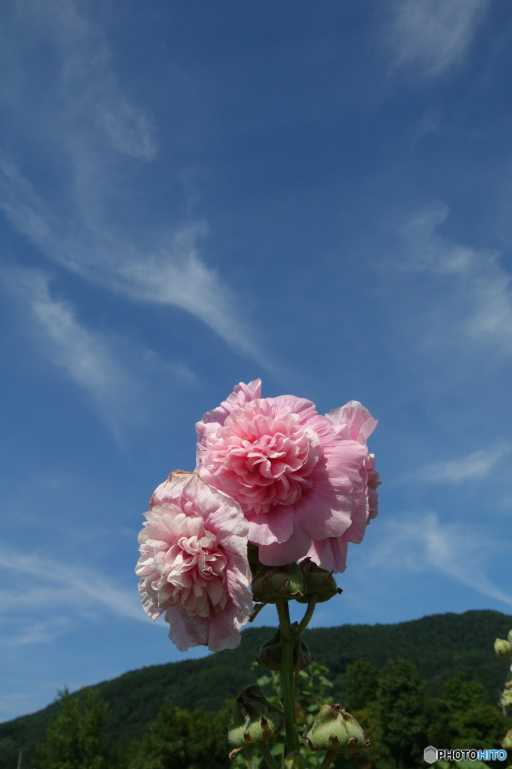 梅雨明け