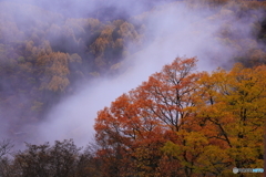 雲湧く