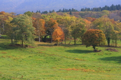 牧場の秋