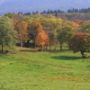 牧場の秋