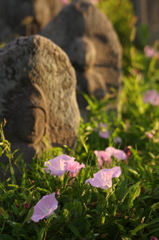 夏草繁る