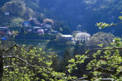 りんご畑のある村