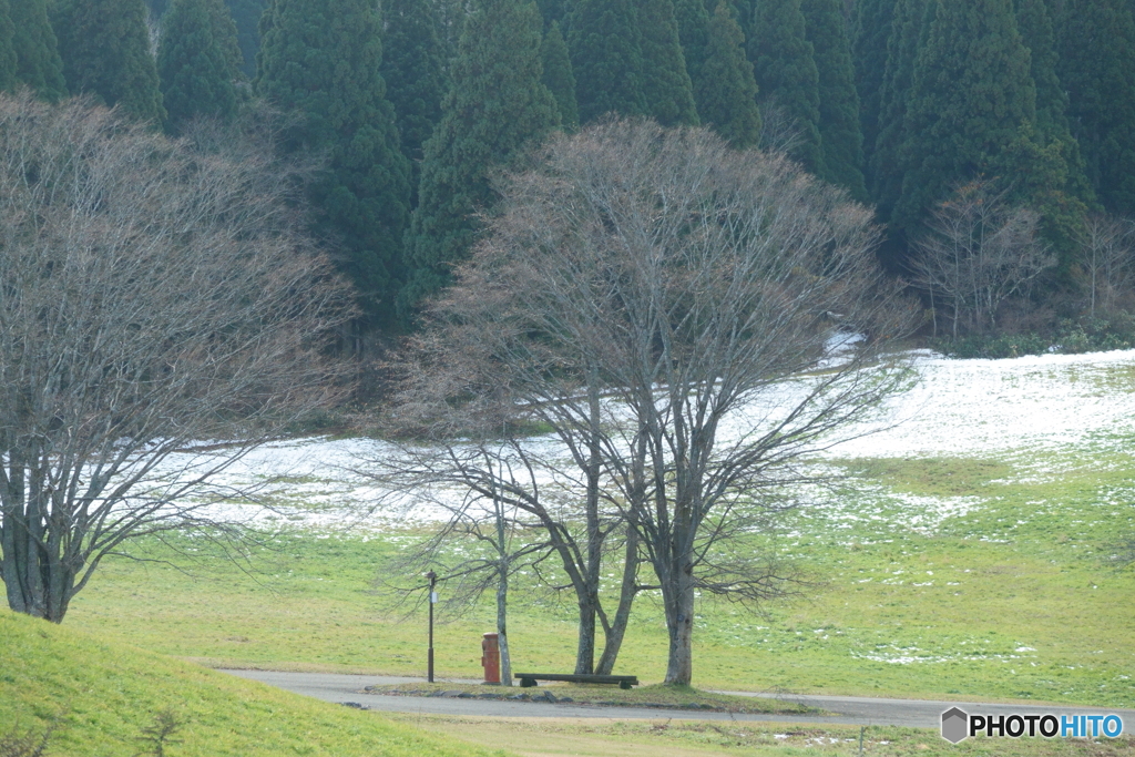 ポストのある風景