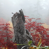 秋景拾遺1