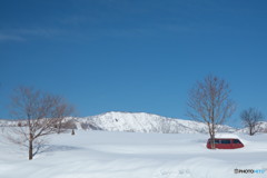 雪解野