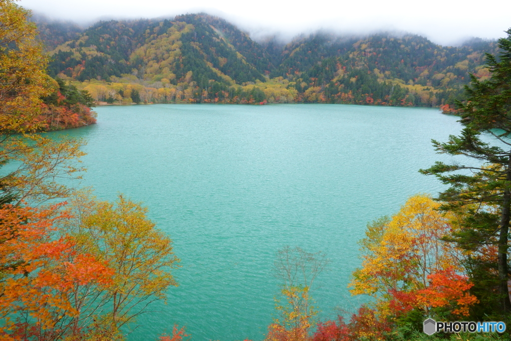 大沼池
