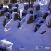雪の衣