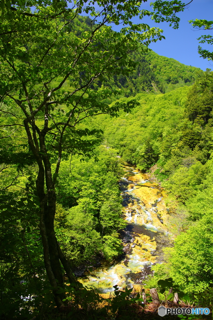 緑の川底